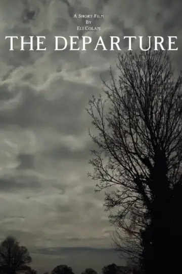 Poster to the movie "The Departure" #823639