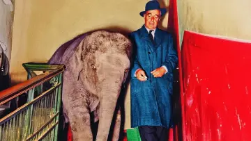 Backdrop to the movie "Vittorio De Sica: Staging Life" #928529