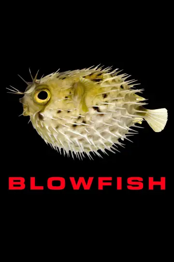 Blowfish Poster