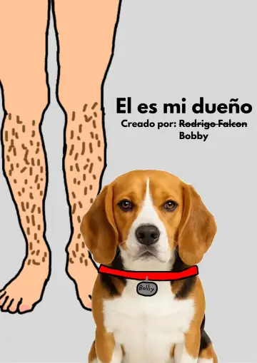 Poster to the movie "El es mi dueño" #823727