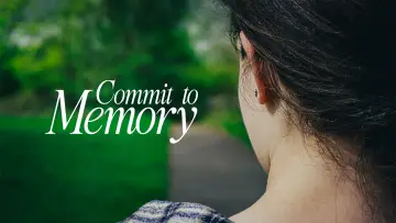 Backdrop to the movie "Commit to Memory" #845479