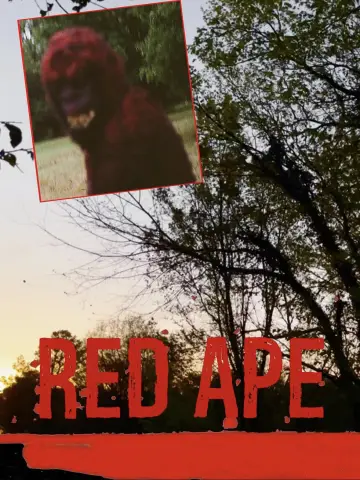 Red Ape Poster