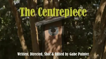 Backdrop to the movie "The Centrepiece" #823993