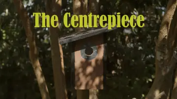 Backdrop to the movie "The Centrepiece" #823995