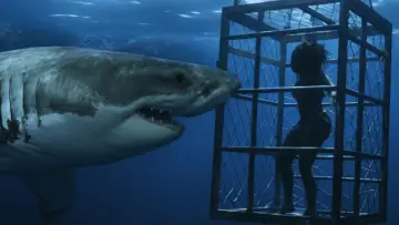 Backdrop to the movie "Chum" #1155427