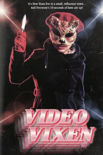 Video Vixen Poster