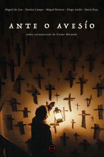Poster to the movie "Ante o Avesío" #845071