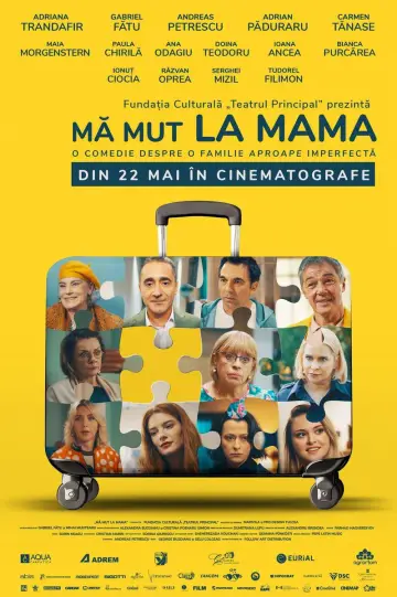 I'm Moving in with Mom Poster