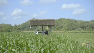 Backdrop to the movie "Memang Kalian Tahu Apa?" #824868