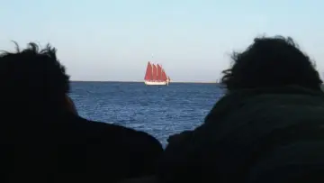 Backdrop to the movie "Inherent Vice" #704158
