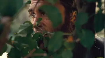 Backdrop to the movie "Inherent Vice" #704212