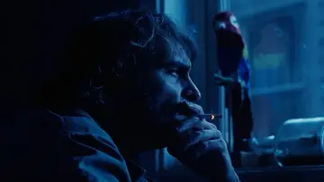 Backdrop to the movie "Inherent Vice" #704216