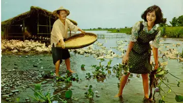 Backdrop to the movie "Beautiful Duckling" #1174408