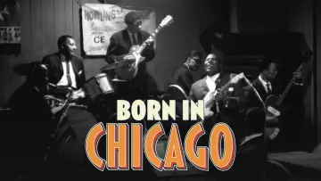 Backdrop to the movie "Born In Chicago" #1433762