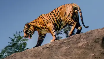Backdrop to the movie "Jungle Cat" #1873648
