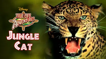 Backdrop to the movie "Jungle Cat" #1873649