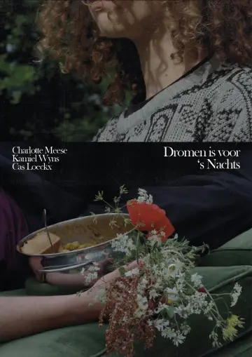 Poster to the movie "Dromen is voor 