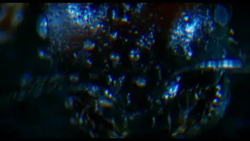 Backdrop to the movie "Antface" #1148347