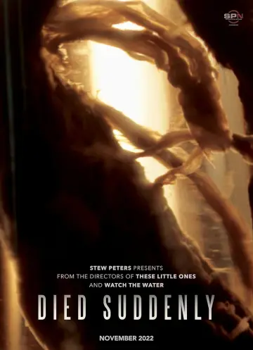 Died Suddenly Poster