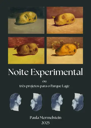 Poster to the movie "Noite Experimental" #844499