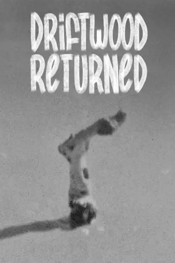 Driftwood Returned