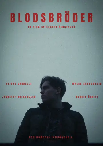 Poster to the movie "Blodsbröder" #863603