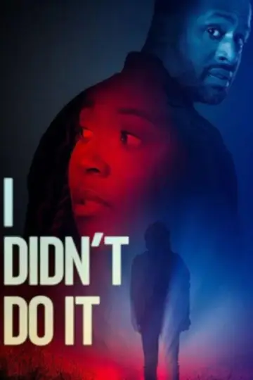 I Didn't Do It Poster