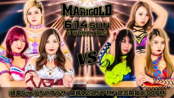 Backdrop to the movie "Marigold Shining Attack 2026 ~ Day 13" #1153620