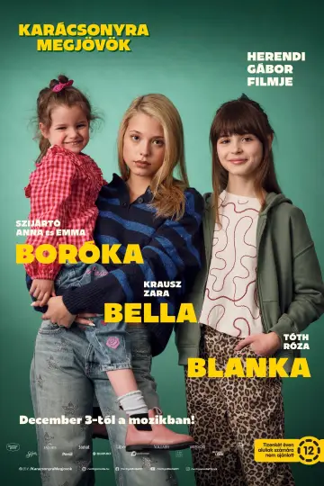 Poster to the movie "Karácsonyra megjövök" #1630963