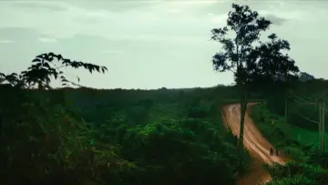 Backdrop to the movie "Homo Sive Natura" #927821