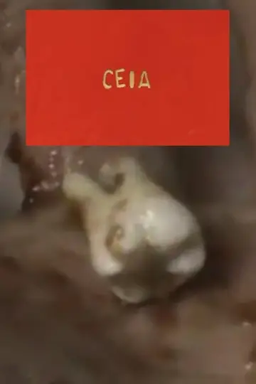 Poster to the movie "Ceia" #922045