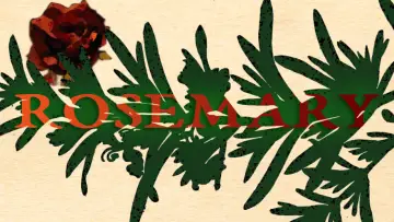 Backdrop to the movie "Rosemary" #919060