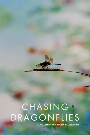Poster to the movie "Chasing Dragonflies" #917983