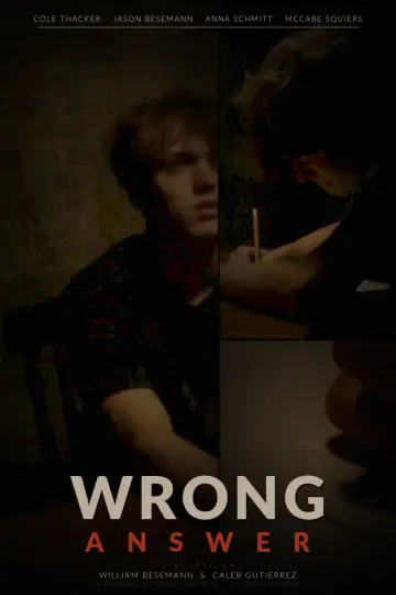 Poster to the movie "Wrong Answer" #916033
