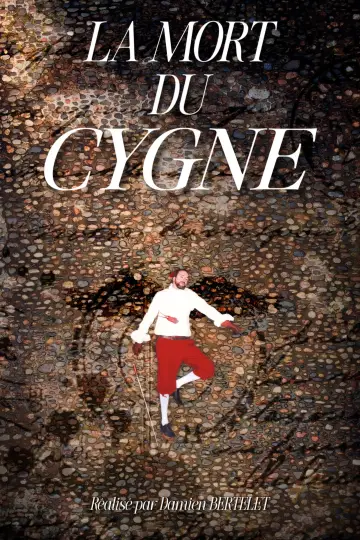 Poster to the movie "La Mort du Cygne" #931530