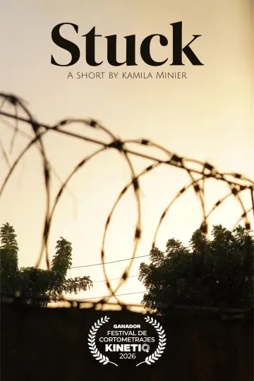 Poster to the movie "Stuck" #957114
