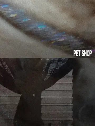 Pet Shop Poster