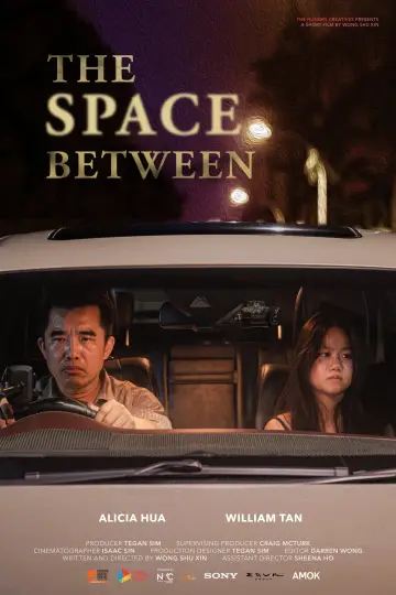 Poster to the movie "The Space Between" #978714