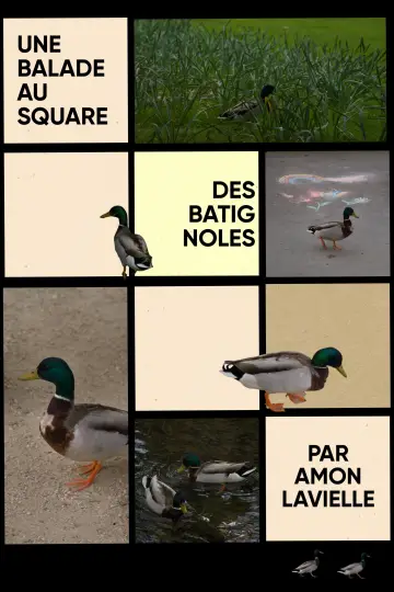 Poster to the movie "Une balade au square des batignoles" #933971