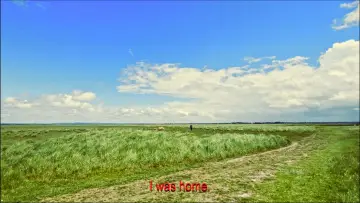 Backdrop to the movie "Loneliness and the Sheep" #929850