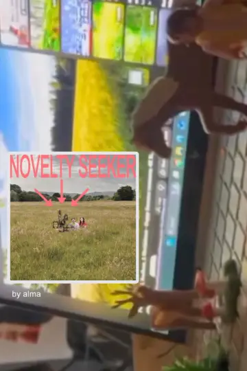 Poster to the movie "NOVELTY SEEKER" #958167
