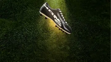 El rey Puma Poster