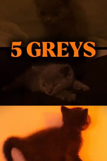 Poster to the movie "5 greys" #957252