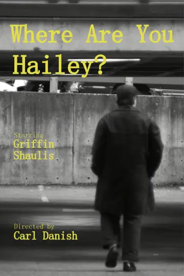 Poster to the movie "Where Are You Hailey?" #956853