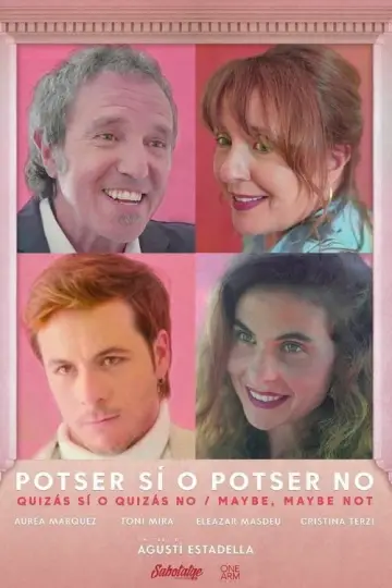 Poster to the movie "Maybe Yes or Maybe Not" #963259