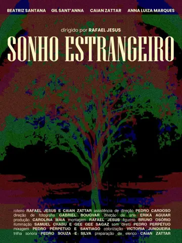 Poster to the movie "Sonho Estrangeiro" #955667