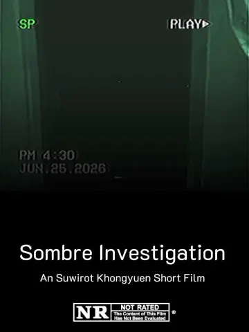 Sombre Investigation Poster