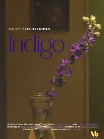 INDIGO