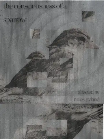 The Consciousness of a Sparrow Poster