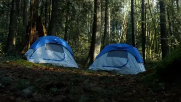 Backdrop to the movie "Darkwoods" #1160495